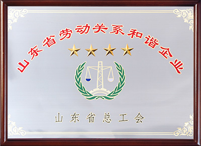 山东省劳动关系和谐企业(2013年)