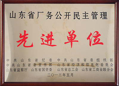 山东省厂务公开民主管理先进单位